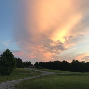 Meet your Posher, Jodie